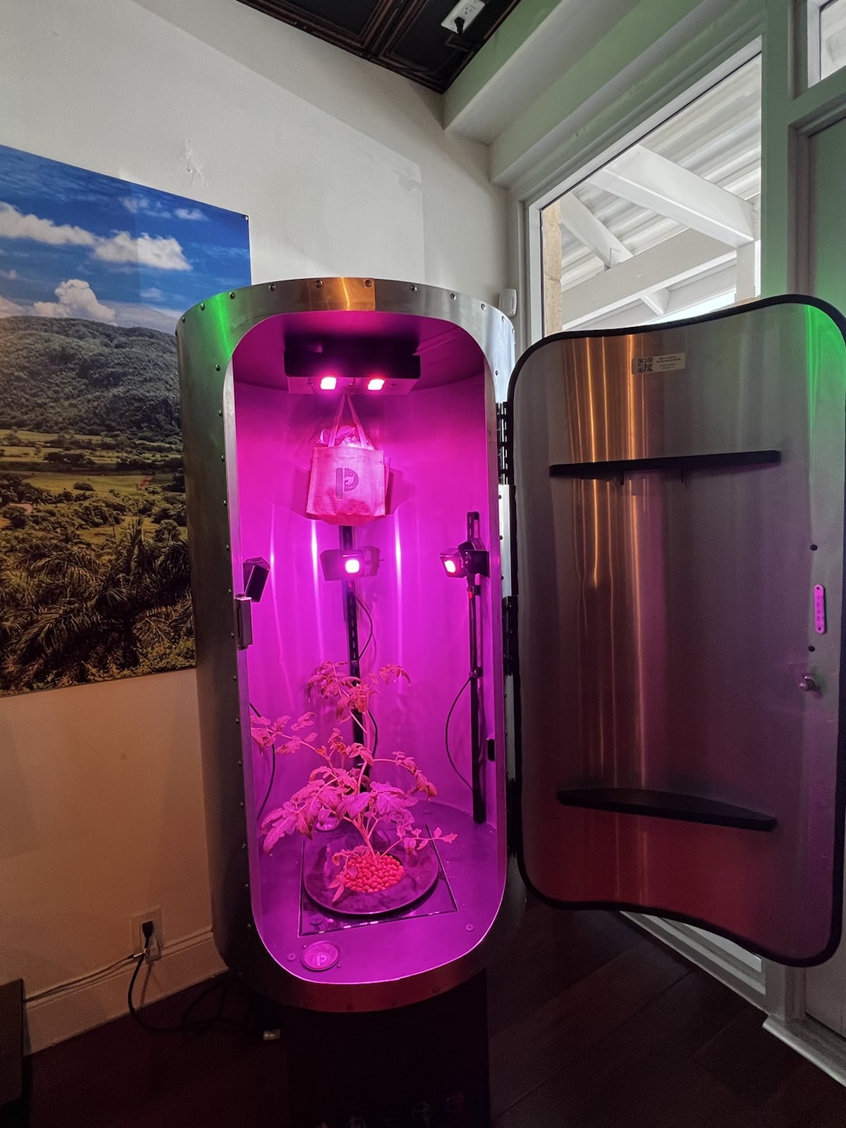 First grow for Neptune Cigars!