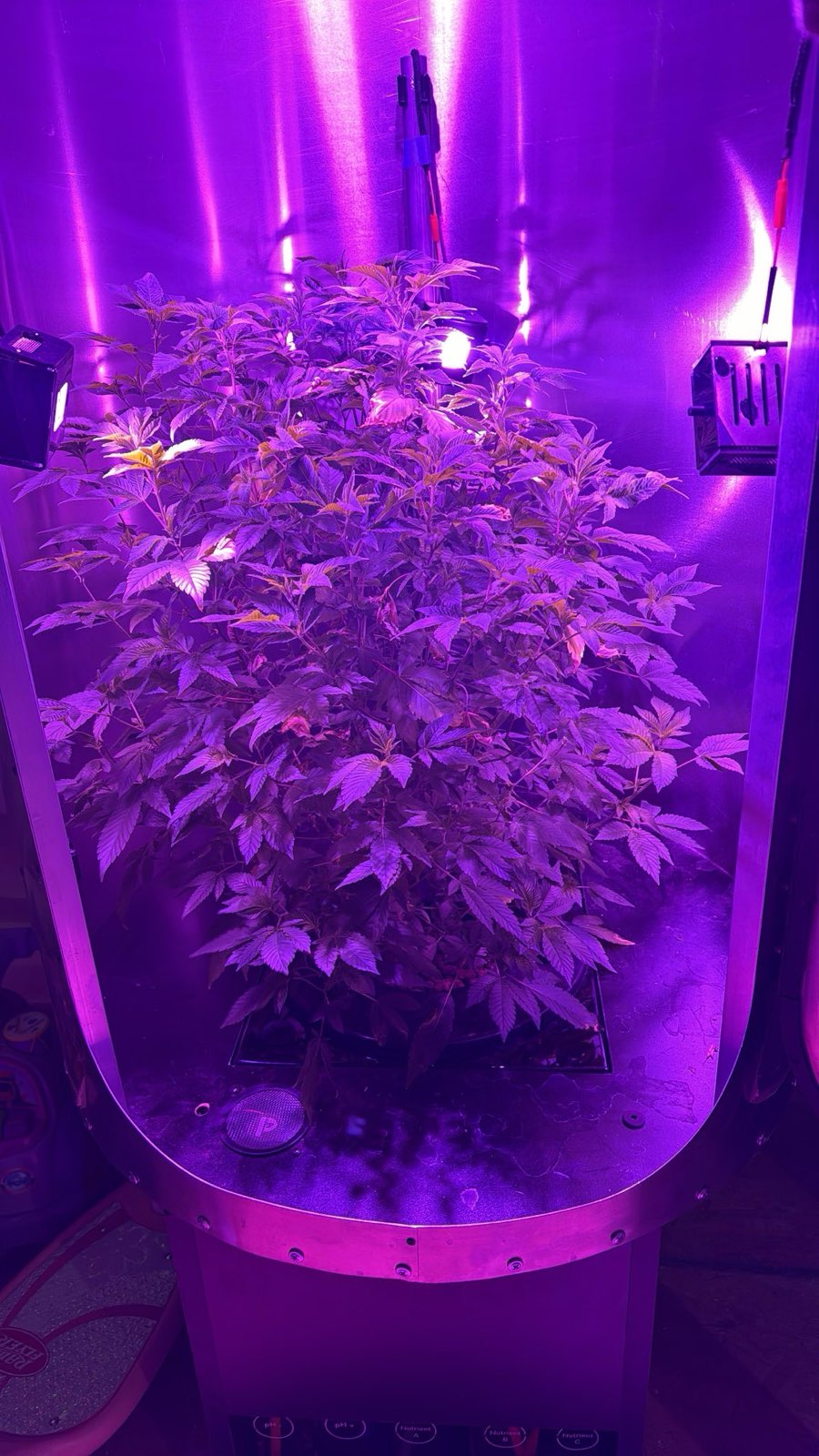 The best harvest only with Plantern!