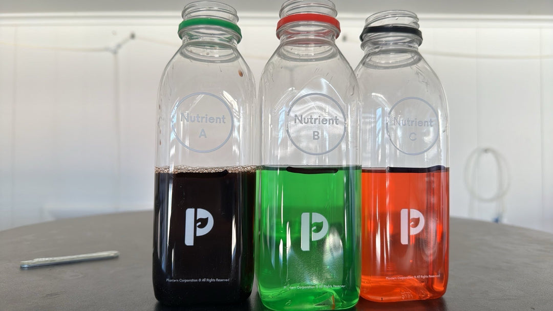 Understanding Nutrients for Plantern