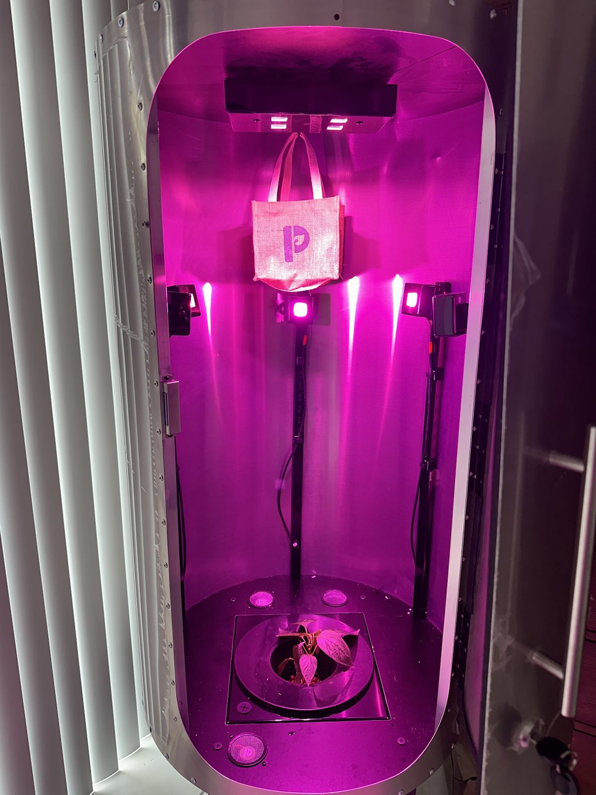 Congratulations to Cecilia for growing the first pepper plant with Plantern!