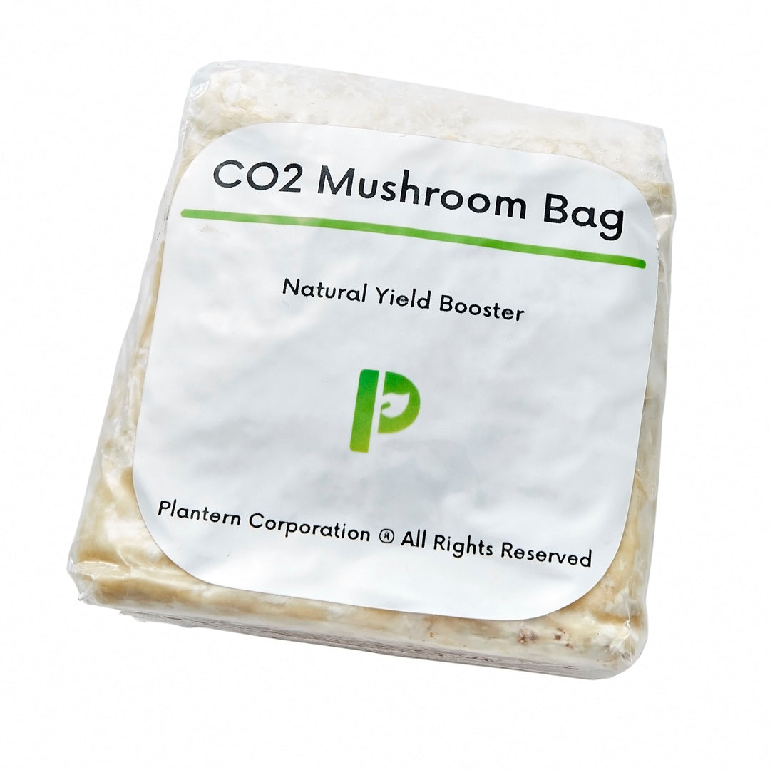 CO2 Bag