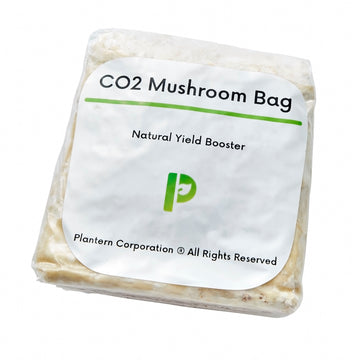 CO2 Bag