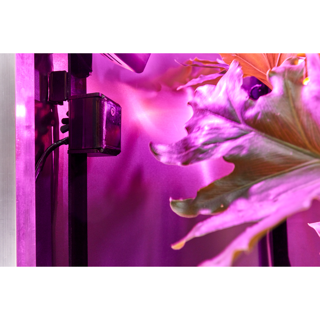 Plantern Smart Device