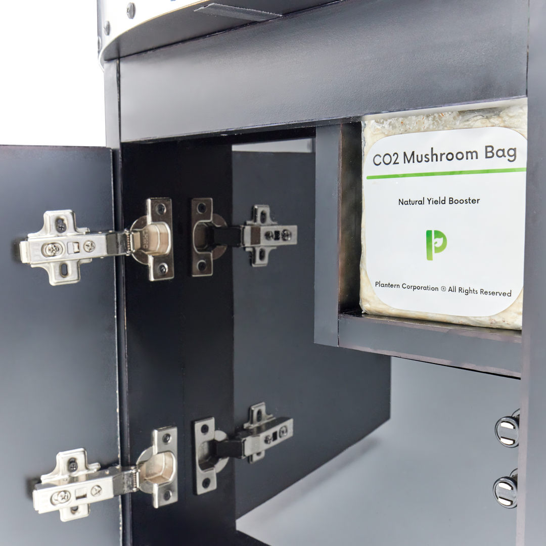 Plantern Smart Device